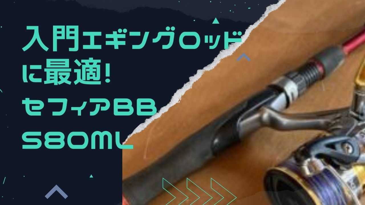 シマノ C3000SHG SephiaXR SHIMANO 濡らせ エギング ルアー